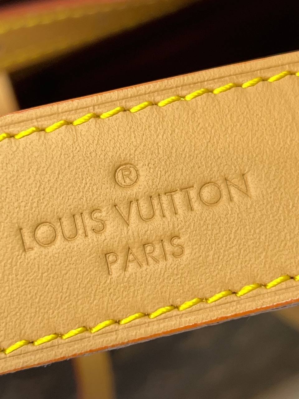 Сумка Louis Vuitton